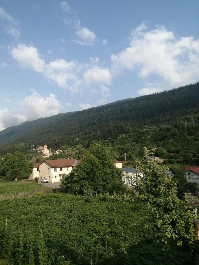 Jeiran Japaridze'S Guesthouse Mestia Luaran gambar